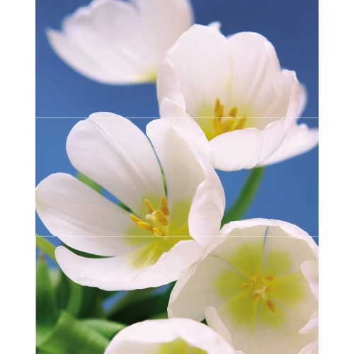 Панно Cerrol Blue Garden из 3пл 75x60