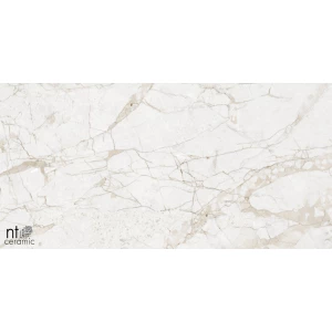 Керамогранит NT Ceramic Marmo Impero Grey Carving Карвинг NTT99519M 120х60 см