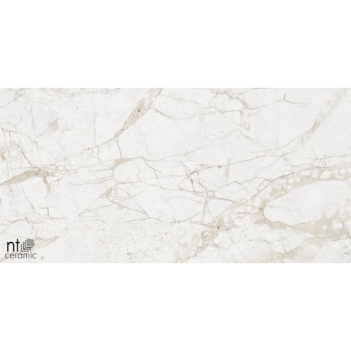 Керамогранит NT Ceramic Marmo Impero Grey Carving Карвинг NTT99519M 120х60 см