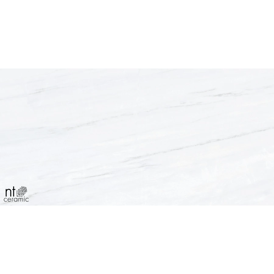 Керамогранит NT Ceramic Aurora NTT9801 Полированный AU612NTT9801P 120х60 см