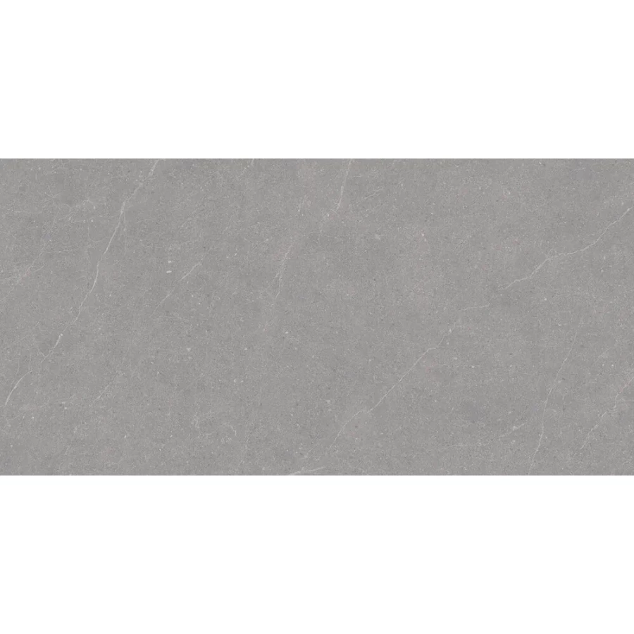 Керамогранит Duna Elenta Grey Carving темно-серый RP-238579 120х60 см