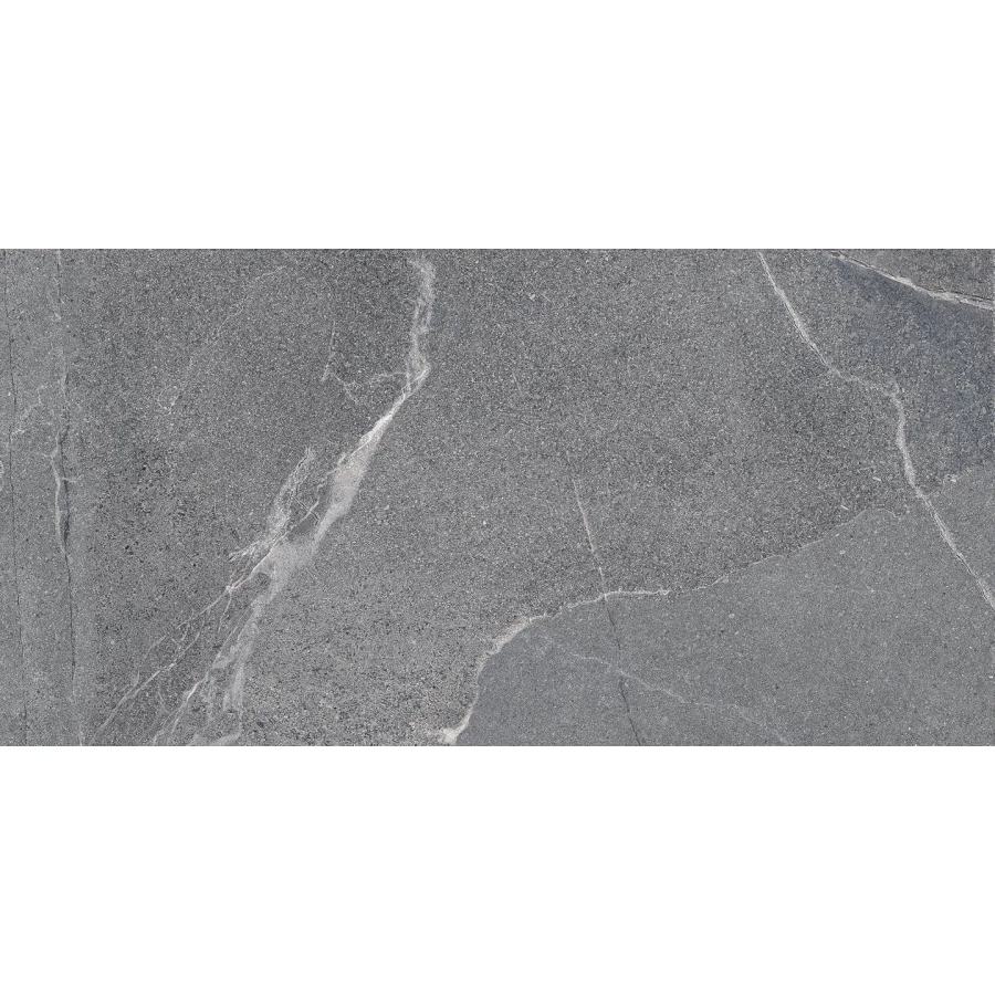 Керамогранит Lasselsberger Ceramics Диккенс серый 6260-0225 60х30 см