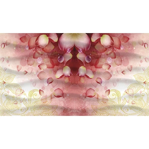 Декор Ceradim Dec Allure КВС16Allure 25х45