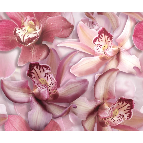 Панно Cerrol Porto Flowers Orchid lila 2пл 50x60 