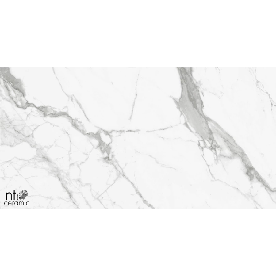 Керамогранит NT Ceramic Bright and Shiny NTT9100 Полированный BB612NTT9100P 120х60 см