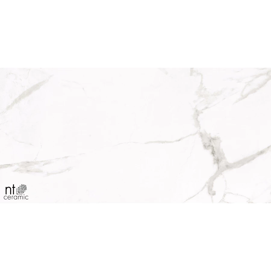Керамогранит NT Ceramic Marvel NTT1001 Лаппатированный ML612NTT1001L 120х60 см