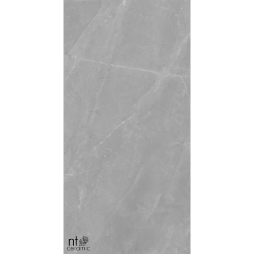 Керамогранит NT Ceramic Granite Limestone Grey Structura Матовый NTT99617M 120х60 см