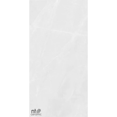 Керамогранит NT Ceramic Granite Limestone White Structura Матовый NTT99618M 120х60 см