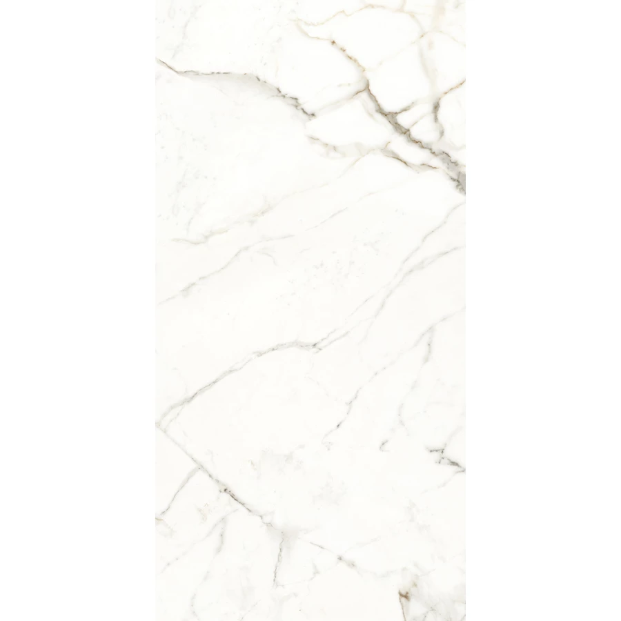 Керамогранит Naxos Rhapsody Emotion nat ret 120124 120х60 см