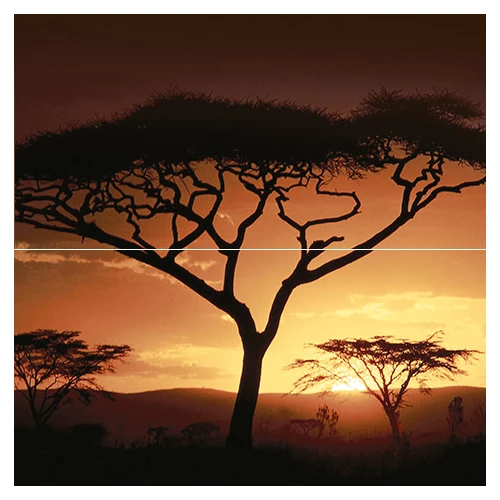 Панно Ceramica Classic Africa P2-2D210 40х40 см (из 2 плиток)