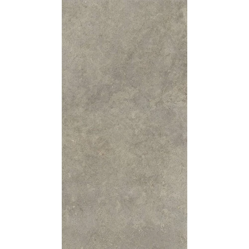 Керамогранит Ragno Marazzi Richmond Musk Rett RAFX 120х60 см