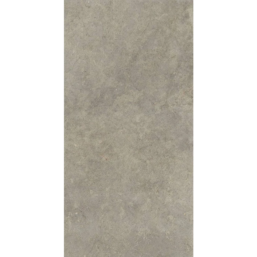Керамогранит Ragno Marazzi Richmond Musk Rett RAFX 120х60 см