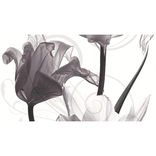 Панно Ceradim Dec Pulsar B КПН16PulsarB 25х45