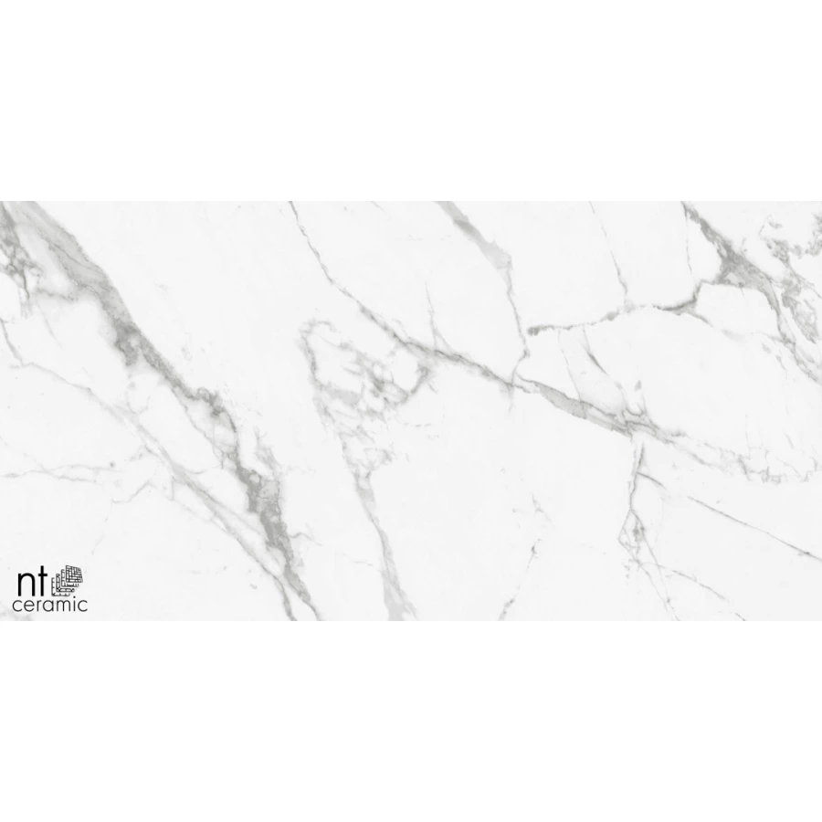 Керамогранит NT Ceramic Bright and Shiny NTT9100 Полированный BB612NTT9100P 120х60 см