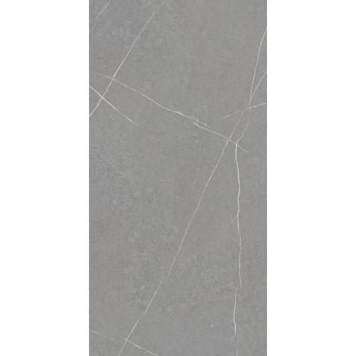 Керамогранит Argenta Капри Грей / Capri Grey матовый серый 8435592037189 120х60 см