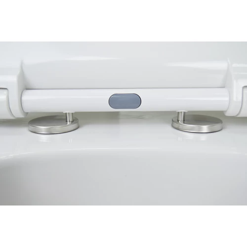 Унитаз подвесной Azario Ferio безободковый в комплекте с сиденьем микролифт 87565 36х54.5х33 см