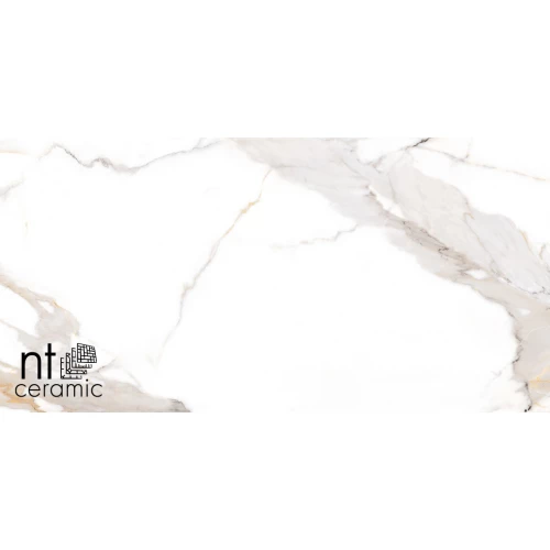 Керамогранит NT Ceramic Bright and Shiny Calacatta Light Grey Полированный NTT9121P 120х60 см