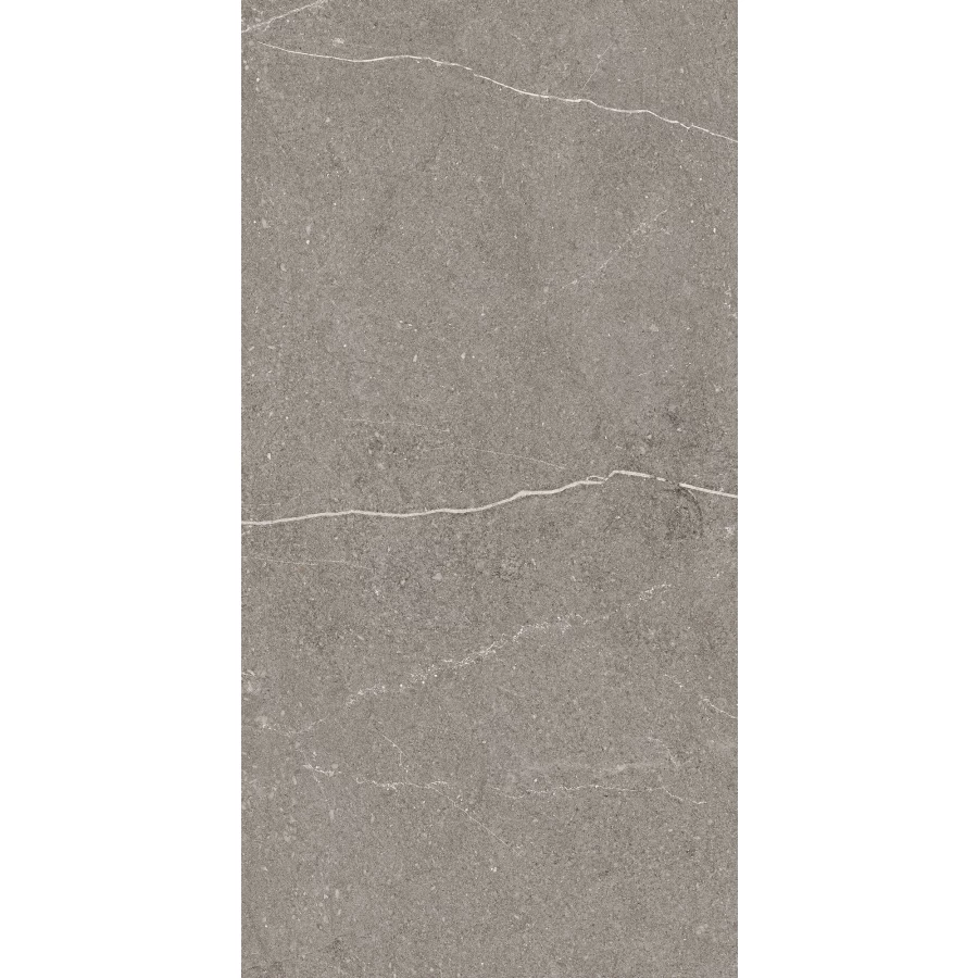 Керамогранит Arcadia Ceramica Equistone Graphite матовый серый RG6002-A 120х60 см