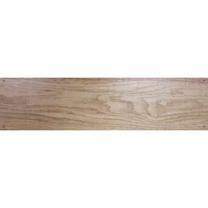 Керамический гранит Евро-Керамика Интер бежево-серый с имитацией гвоздей 15*60 см