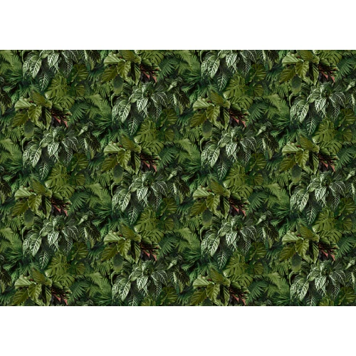 Обои винил на флизелине Grandeco Ciara Зеленый Черный A 58601 10,05х0,53 м