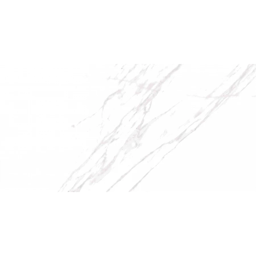 Плитка настенная Axima Флорида белая 50х25 см