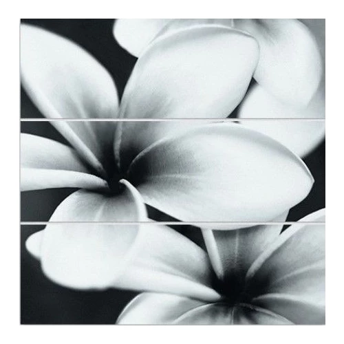 Спецэлемент стеклянный Meissen Keramik Universal Glass Flowers черный 75x75 см