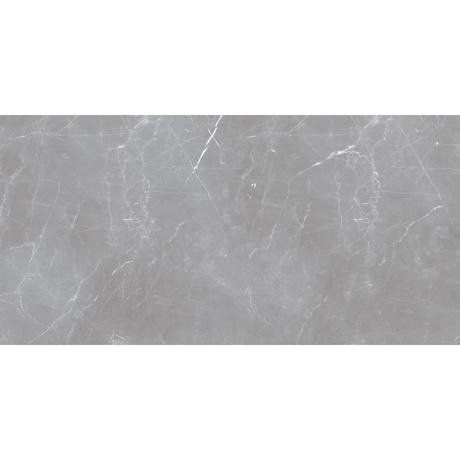 Керамогранит Ocean Ceramic Iran Iran 20мм Arion Gray Dark матовый серый IRN000050 121х61 см