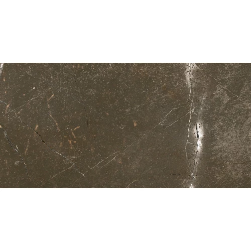 Керамогранит Ocean Ceramic Iran Baron Brown Sugar IRN000005 120х60 см