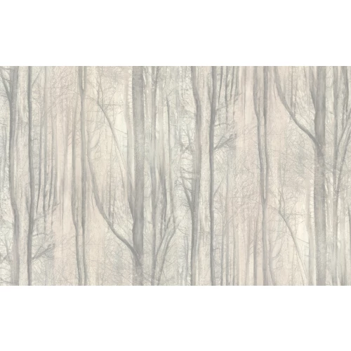 Обои флизелиновые Аспект Deluxe Акцент бежевые 70392-24 1,06х10,05 м