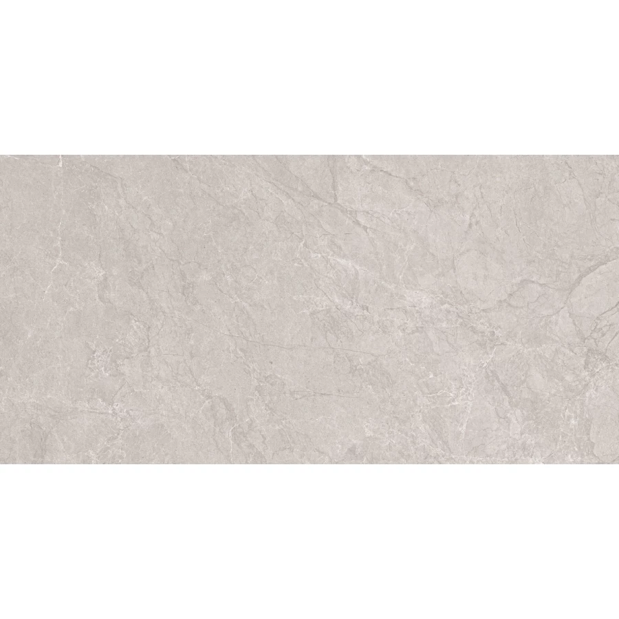 Керамогранит Neodom Stone Aristo Grey Tm матовый серый N20555 120х60 см