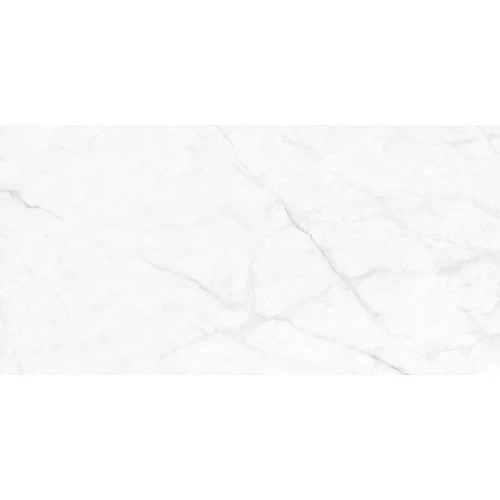 Керамогранит Neodom Classic Marble Calacatta Fantasy Polished глянцевый белый N130008 120х60 см