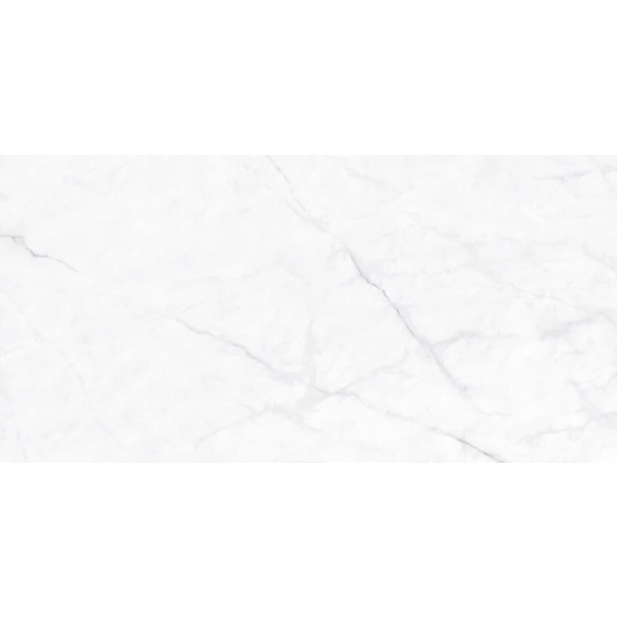 Керамогранит Neodom Classic Marble Calacatta Fantasy Polished глянцевый белый N130008 120х60 см