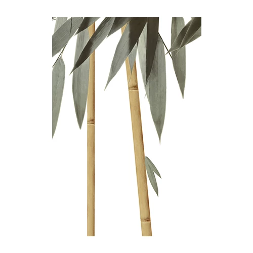 Декор ALMA Ceramica Бамбук ВС7БМ024 24,9х36,4