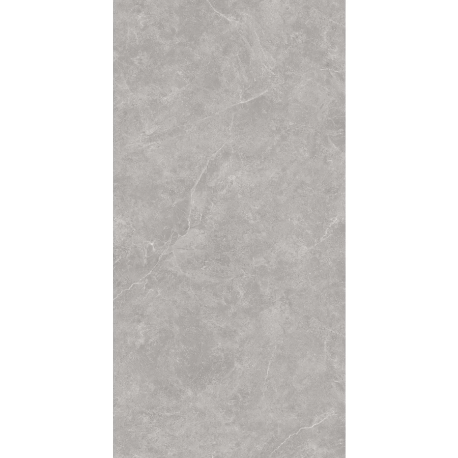 Керамогранит Creanza Oviedo Gris Solido матовый с микрогранулами серый SL1002-A 120х60 см