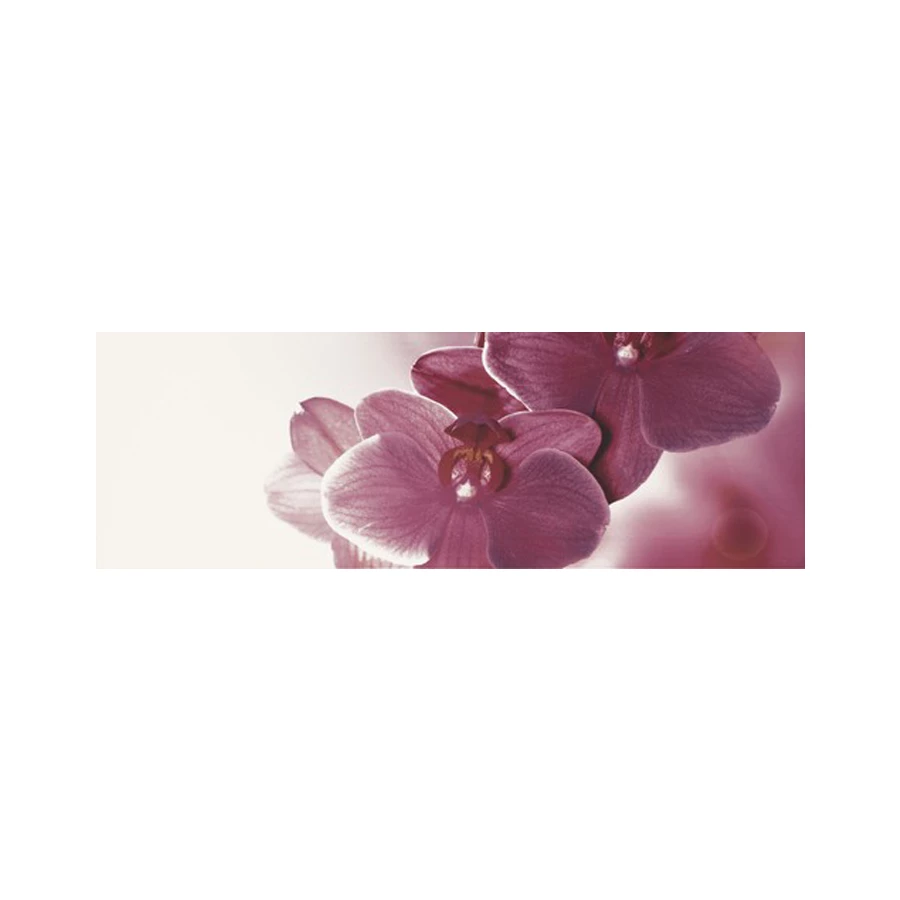 Декор Paradyz Abrila Kwiat B (блестящий) 20х60 см