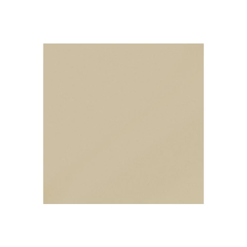 Керамогранит Керамика Будущего Моно CF 100 аворио полир. PR 60х60 см