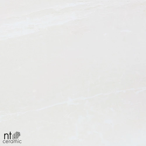 Керамогранит NT Ceramic Zeus NTT9701 Матовый ZS6NTT9701M 60х60 см