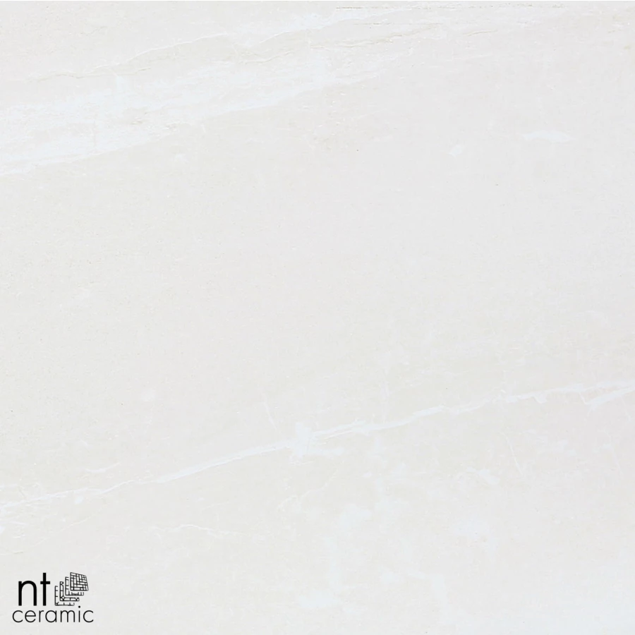 Керамогранит NT Ceramic Zeus NTT9701 Матовый ZS6NTT9701M 60х60 см