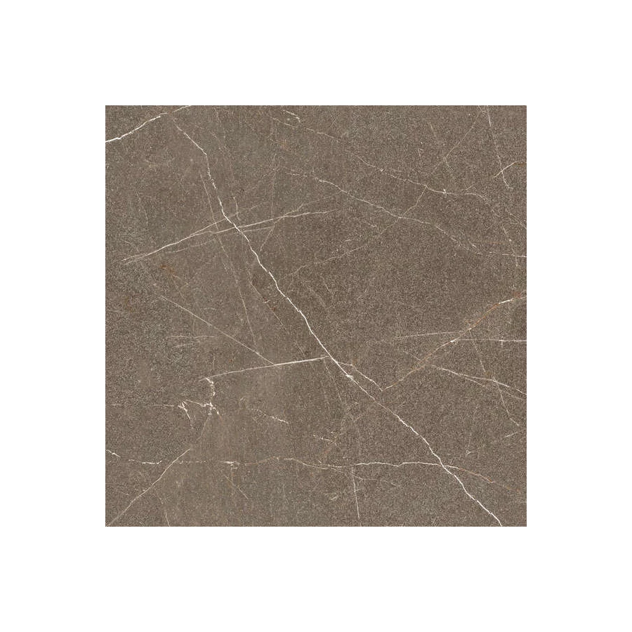 Керамогранит Idalgo Граните София велюр LLR ID9061E079LLR 60х60 см