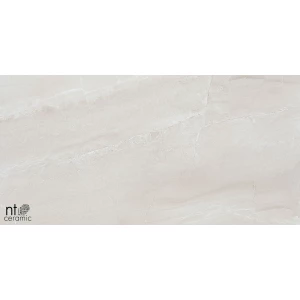 Керамогранит NT Ceramic Zeus NTT9702 Полированный ZS612NTT9702P 120х60 см