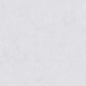 Керамогранит Vizavi Пепел матовый серый ZA-B60310 60х60 см