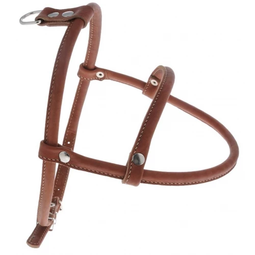 Шлейка для собак Аркон чау-чау шч 70 - 85 см