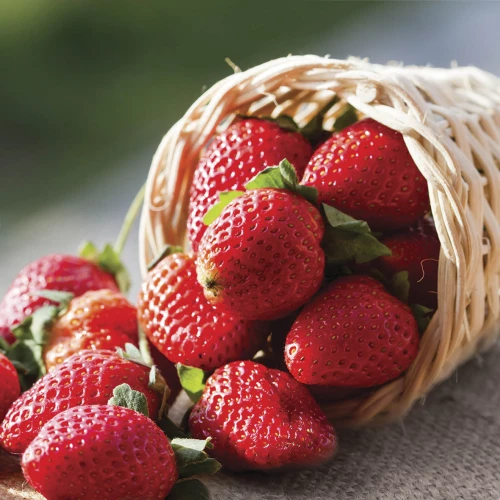 Вставка Mosplitka Bella Корзина с клубникой MPL-017852 10х10 см