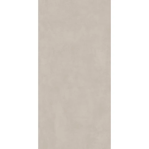 Керамогранит Foshan Cardshuo Morandi ashen matt 612TEX051 120х60 см