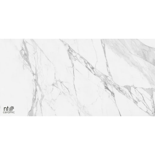 Керамогранит NT Ceramic Marmo Artic statuario Glossy Глянец NTT99528P 120х60 см