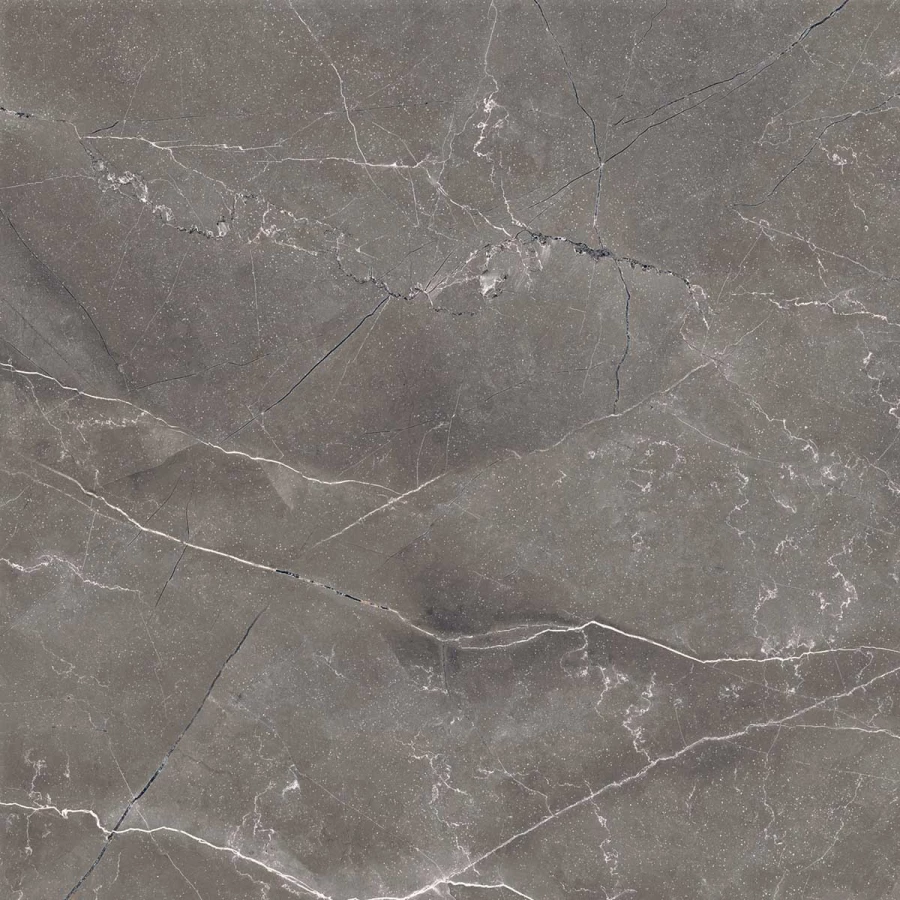 Керамогранит Arcadia Ceramica Pulpis Nero Full Polished серый FP1014-A 60х60 см