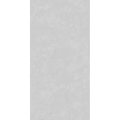 Керамогранит Basconi Home Cateye Light Grey grains soft-polished mould BHW-0023 120х60 см