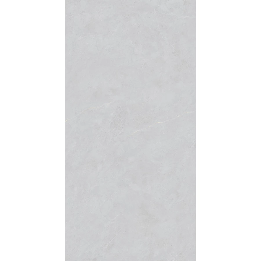 Керамогранит Basconi Home Cateye Light Grey grains soft-polished mould BHW-0023 120х60 см