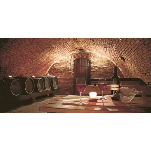 Декор Нефрит-Керамика Тоскана коричневый 04-01-1-10-05-15-713-0 50*25