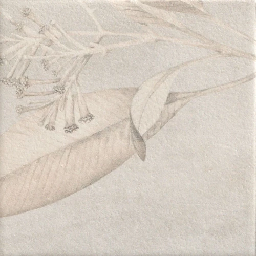 Керамогранит Mainzu Soft Kamelia White 15х15 см